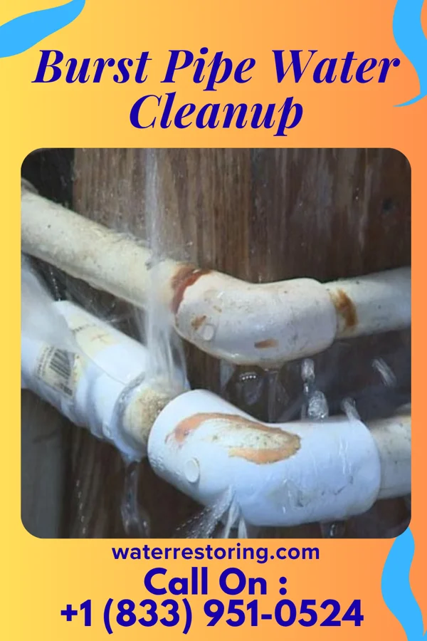Burst Pipe Water Cleanup in Jamestown, PA