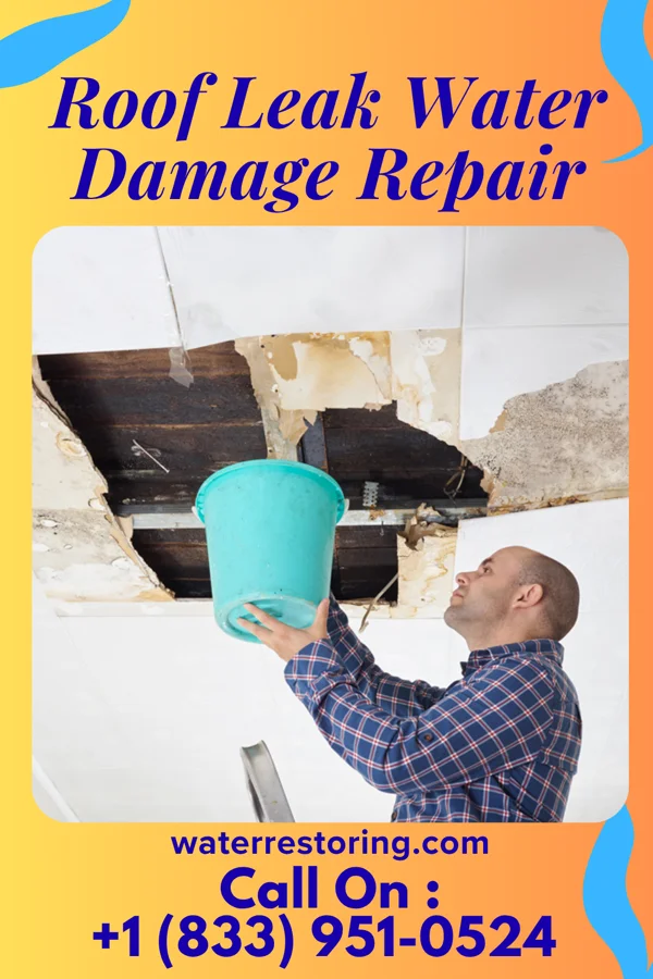Roof Leak Water Damage Repair in Jamestown, PA