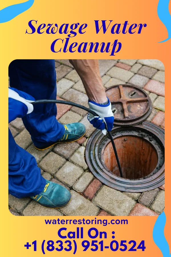 Sewage Water Cleanup in Jamestown, PA