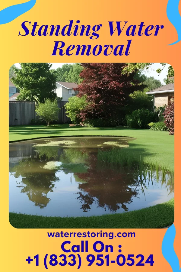 Standing Water Removal in Jamestown, PA